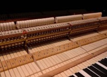 Камчатке подарили Steinway