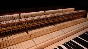 Камчатке подарили Steinway Камчатке подарили Steinway